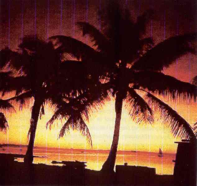 Photo de M. Robert Antoine