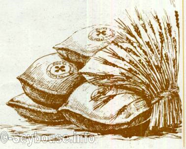 Photo Charles Ciantar