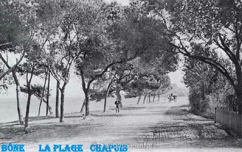 Photo envoy�e par M. Charles Ciantar