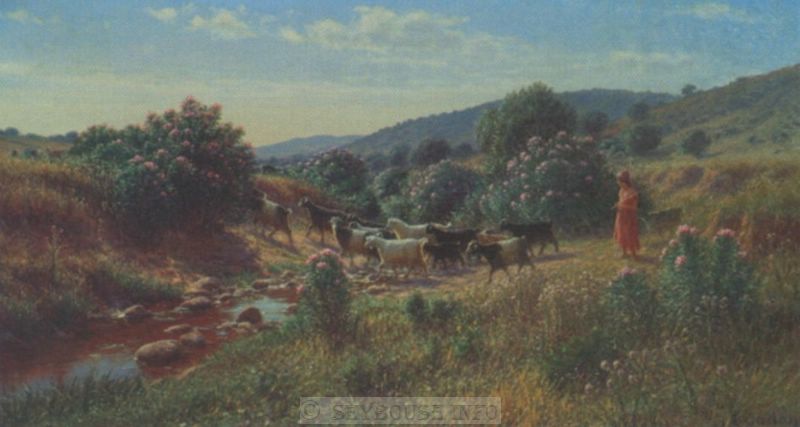 Image envoy�e par M. C. Ciantar