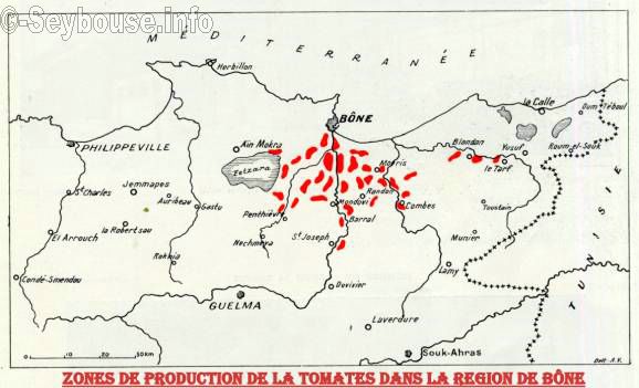 Photo Charles Ciantar