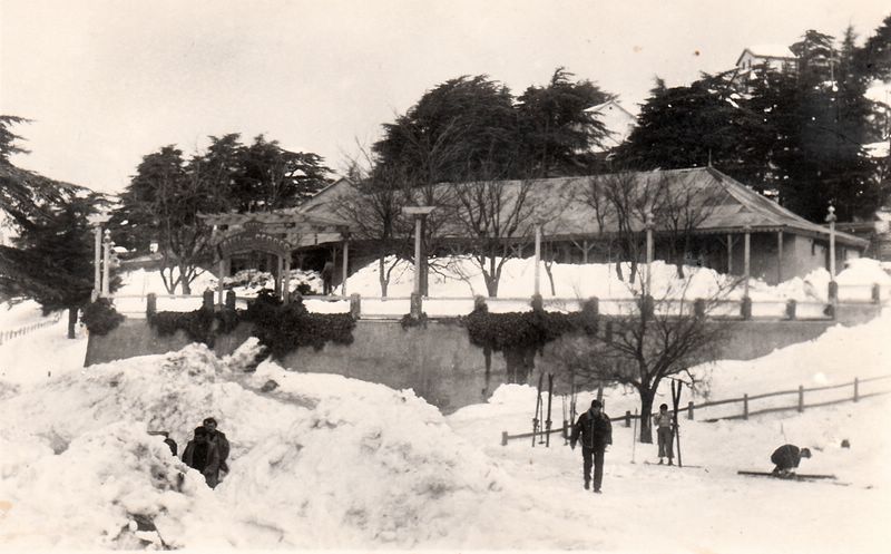 Photo M. Guttin Andr�