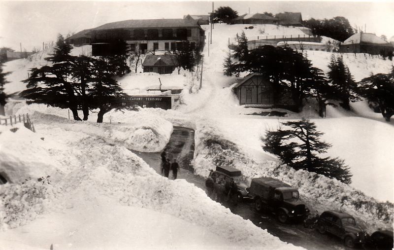 Photo M. Guttin Andr�