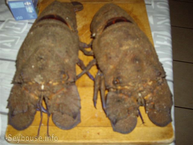 Photo Mme Janine Lorinet