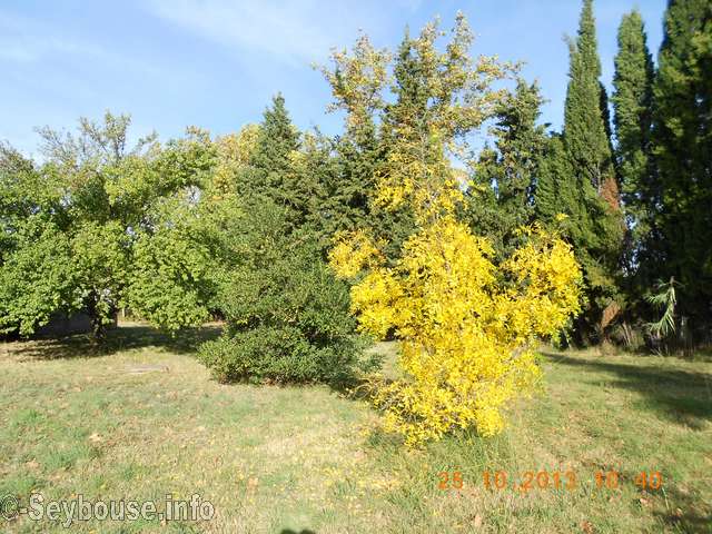 Photo de J.P. Bartolini