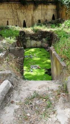 Photo d'Annaba- Patrimoine