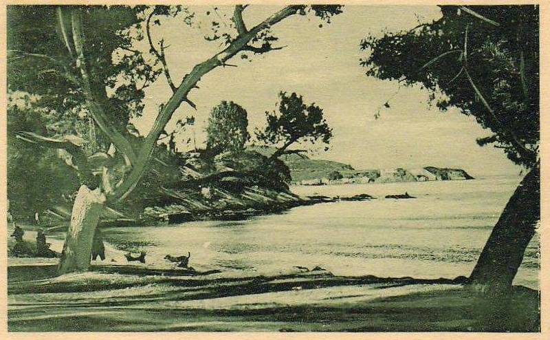 Photo envoy�e par M. C. Ciantar