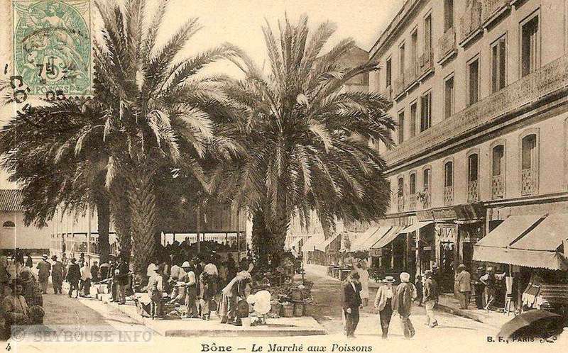 Photo envoy�e par M. C. Ciantar