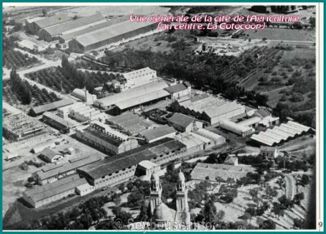 Photo envoy�e par M. Ciantar