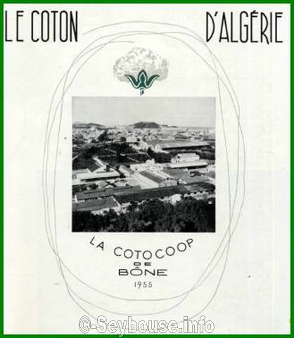 Photo envoy�e par M. Ciantar