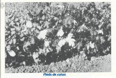 Photo envoy�e par M. Ciantar