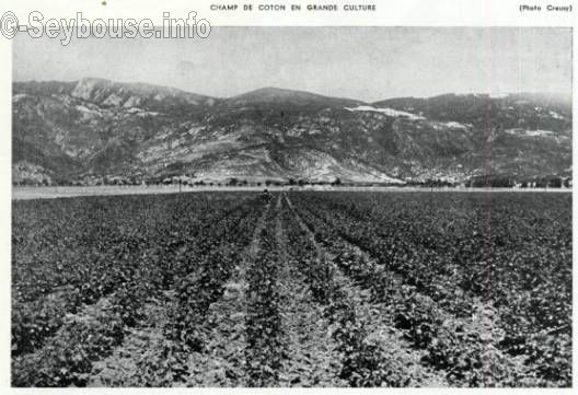 Photo envoy�e par M. Ciantar