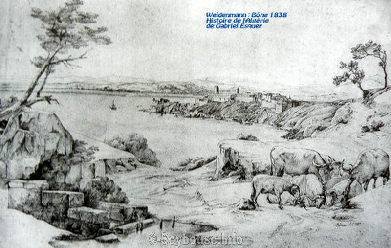 Photo envoy�e par M. Ciantar