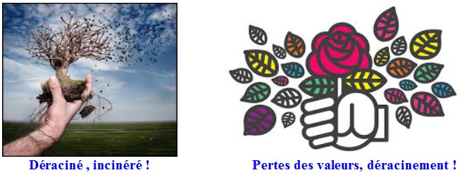 Photo envoy�e par  M. Jolivet