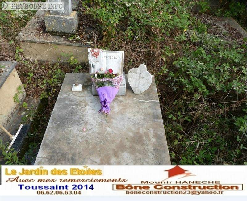 Photo M. Mounir Han�che