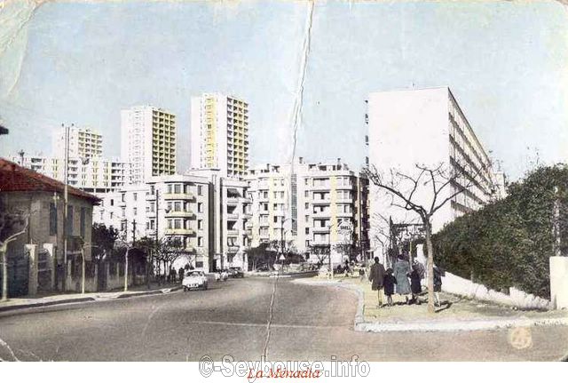 Photo de Mme Belmonte