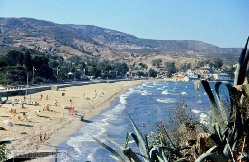 Photo envoy�e par M. Marc Spina