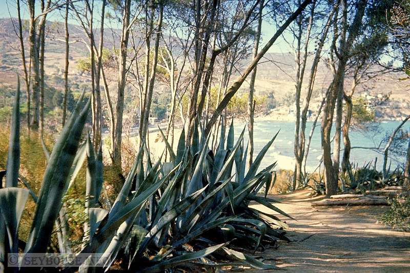 Photo envoy�e par M. Marc Spina