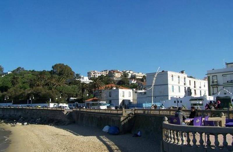 Photo envoy�e par M. Marc Spina