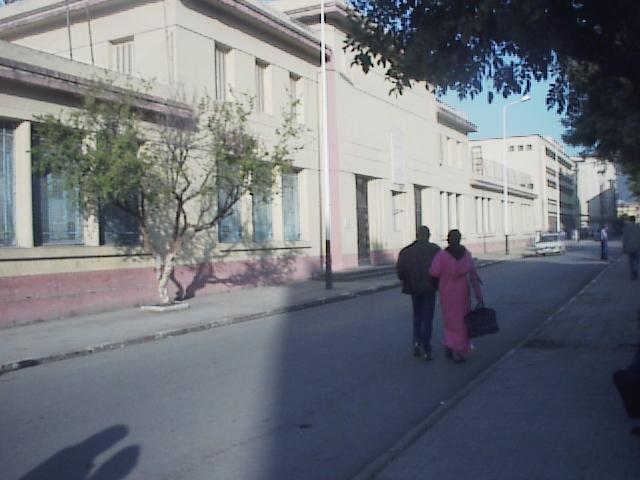 photo Rachid Habbachi