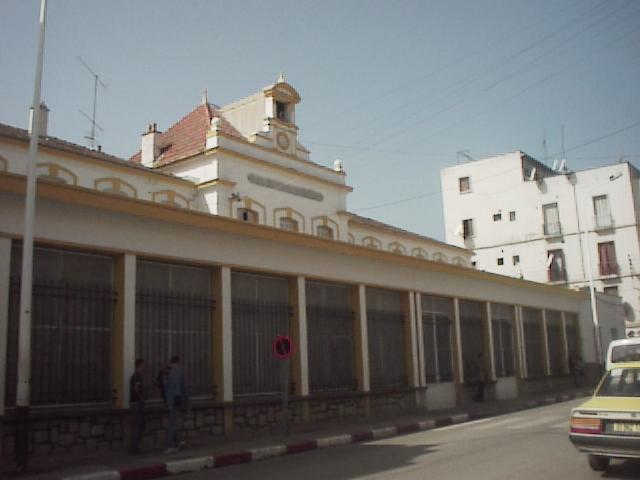 photo Rachid Habbachi