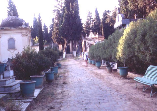 Photo de Mme Gallo-Berger