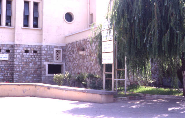 Photo de Mme Gallo-Berger