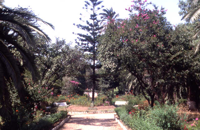 Photo de Mme Gallo-Berger