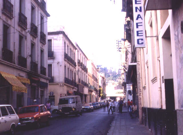 Photo de Mme Gallo-Berger