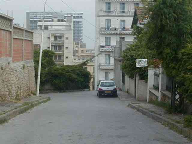 Photo M. Aldo Riboni