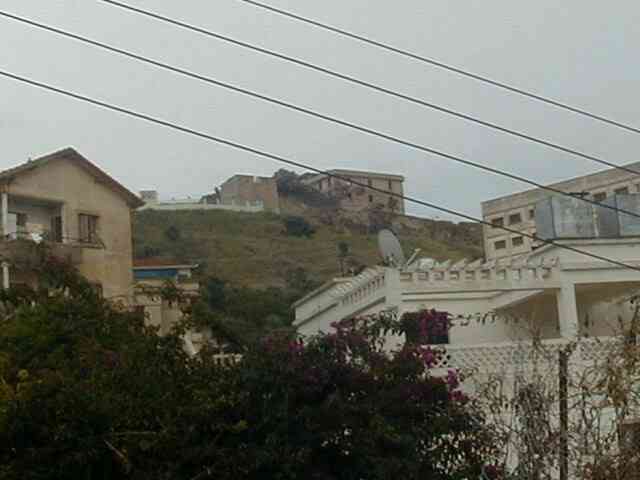 Photo M. Aldo Riboni