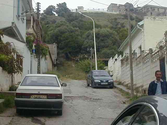 Photo M. Aldo Riboni