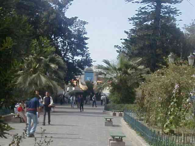 Photo M. Aldo Riboni