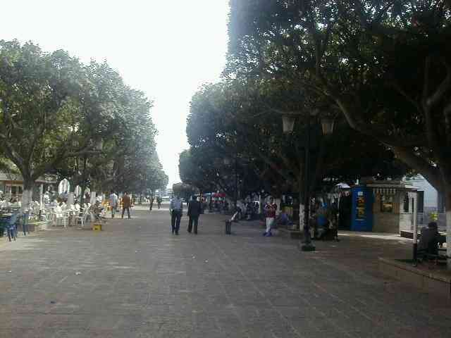 Photo M. Aldo Riboni